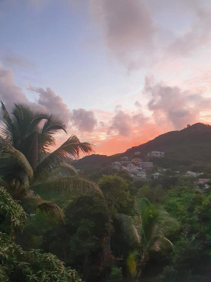 Mountain Apartments Anse Etoile 外观 照片