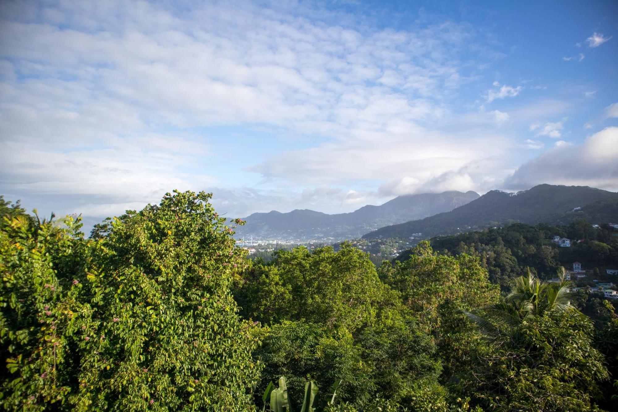 Mountain Apartments Anse Etoile 外观 照片